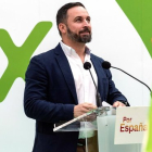 El candidato de Vox a las generales, Santiago Abascal, en un mitin en Vitoria.-EFE / ADRIÁN RUIZ DE HIERRO