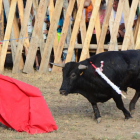 Festejo celebrado en la tarde de ayer en Vinuesa.-ÁLVARO MARTÍNEZ