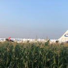 El Airbus, tras aterrizar en un maizal cerca de Moscú.-AFP