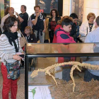El museo salense recibe visitas de público de todas las edades.-ECB