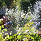 Plantas en el paseo del Espolón. Burgos se presenta como un ‘Jardín urbano’, según el título del Plan de Turismo Sostenible. TOMÁS ALONSO