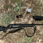 Arma incautada junto a una de las cabezas de corzo. GUARDIA CIVIL