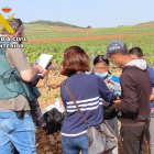 Los inmigrantes se encargaba de la poda en seco y limpieza de viñas, así como en una granja ovina en la comarca.