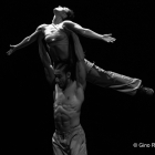 El Principal será escenario de la puesta en escena de las 16 obras seleccionadas en el apartado ‘Danza en el Teatro’.