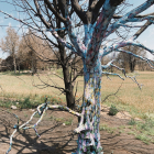 Árbol decorado en Quintanilla del Coco.