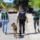 Imagen de agentes y un guía canino.