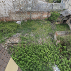 Estas son las vistas a la ‘jungla’ que tienen los residentes en el número 25-27 de San Isidro. Escombros, residuos tóxicos (uralita), un gato muerto...