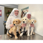 Sor Sión y otra hermana de Belorado junto a varios cachorros en una clínica veterinaria.