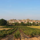 Los viñedos rodean la localidad de Anguix