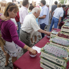 Saldrán a la venta 5.000 kilos de cerezas de diferentes variedades