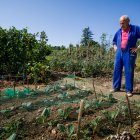 Es tiempo de cosecha.