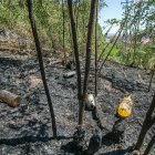 Botellas en la zona incendiada.