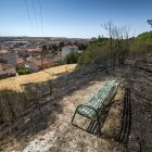 Zona del parque del Castillo donde se produjo el incendio hace unos días. El segado de la zona próxima a las viviendas y la rápida intervención frenó su expansión.