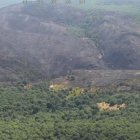 El área quemada por el momento supera las 100 hectáreas, fundamentalmente de matorral bajo.