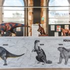 La evolución en la ilustración del Iguanodón desde el siglo XIX hasta el siglo XXI. La más grande se creo en el laboratorio de La Estación.