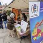 Día de la Solidaridad 2024 en la Plaza Mayor de Burgos.