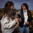 La Ribera del Duero es la tercera ruta vinícola más visitada de España