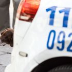 Un perro tras un vehículo de la Policía Local de Burgos en una calle de la capital.