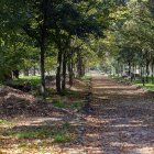 Los nuevos caminos para transitar por el parque de El Parral han comenzado a trazarse por parte de la empresa adjudicataria de las obras.