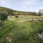 Solar del antiguo hospital General Yagüe, en el que ha crecido la vegetación por la falta de uso, desde que culminó el derribo en 2016.