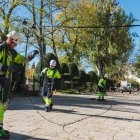 Operarios instalando el manto de luces de Navidad que se instalará en el Paseo del Espolón este año.