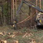 Archivo - Una máquina de la empresa ‘Maderas Ourense’ limpia los árboles quemados en una finca, a 30 de septiembre de 2022, en A Pobra do Brollón, Lugo, Galicia, (España). 
