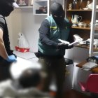 Operación conjunta de la Guardia Civil y la Ertzaintza contra el blanqueo de capitales.