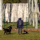Zona de esparcimiento canino cerca del barrio de Huelgas, en la calle Castrillo del Val.