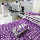 Los tubos de sangre que las enfermeras extraen en el Centro de Salud acaban en este Laboratorio de análisis del servicio de Hematología del HUBU.