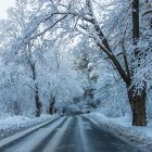 Archivo - Delegación del Gobierno activa la Fase de Alerta ante la previsión de nevadas en León, Palencia, Burgos, Soria y Segovia.