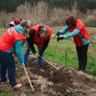 Voluntarios de Alcampo inician la transformación de una finca baldía en un bosque comestible en Rucandio.
