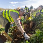 Voluntarios participan en una jornada medioambiental de la mano de Fundación Oxígeno en el parque de San Isidro.
