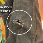 Corte con navaja en una prenda de la víctima.