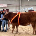 Aitor y Ana, de Granja el Arenón, con Úrsula, Campeona Joven de Castilla y León de raza limusina.