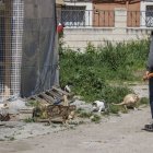 Uno de los alimentadores registrados por el Ayuntamiento de Burgos con una colonia felina en la zona oeste de Burgos.