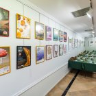 Hasta el 11 de mayo una muestra recorre la historia de Gatuña y acerca los ejemplares que atesoran en su sede.