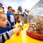 La curiosidad se despierta de inmediato en la Feria de la Ciencia y la Tecnología de Castilla y León.