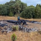 Los detenidos quemaban en zonas apartadas el cable para obtener el cobre.