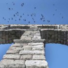 Archivo - Segovia acoge este fin de semana el II Festival de Vencejos.