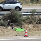 Fallecen el futbolista del Liverpool Diogo Jota y su hermano en un accidente en la A-52 en Cernadilla (Zamora).