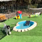 Centro Canino Las Cortes.