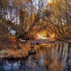 Barbadillo del Pez está rodeada de un bello entorno natural.