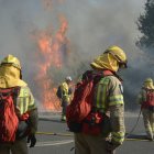 Archivo - Varios bomberos tratan de apagar el fuego durante el incendio forestal en la parroquia de Oseira, a 20 de agosto de 2024, en San Cristovo de Cea, Ourense, Galicia (España).