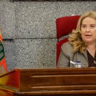 Ayala en un Pleno muncipal.