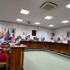Imagen de la votación del Pleno extraordinario celebrado esta mañana