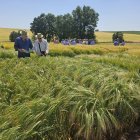 Imagen de uno de los campos de ensayo de la Fundación Caja Rural Burgos