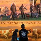 Seis perros perdigueros de Burgos triunfan en la Copa de España de la Sociedad Canina.