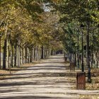 El parque del Parral luce este aspecto otoñal, recién reabierto al público.