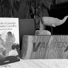 La novela 'Cuando el mundo se llamaba Cerralbo' está publicada por el sello cántabro Valnera.