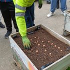 Imagen de una de las actividades.